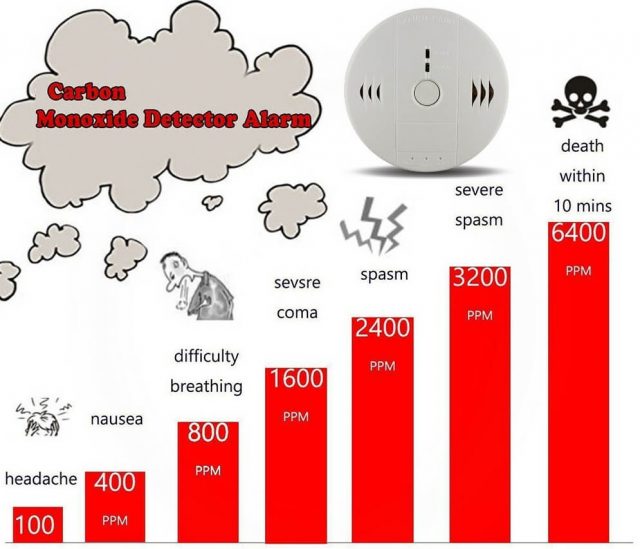 carbon monoxide leak detector