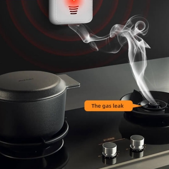 co detector natural gas alarm